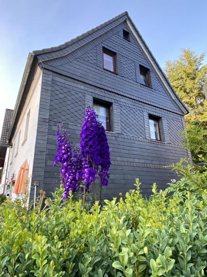 Fewo Lindenhof Hatzfeld Экстерьер фото